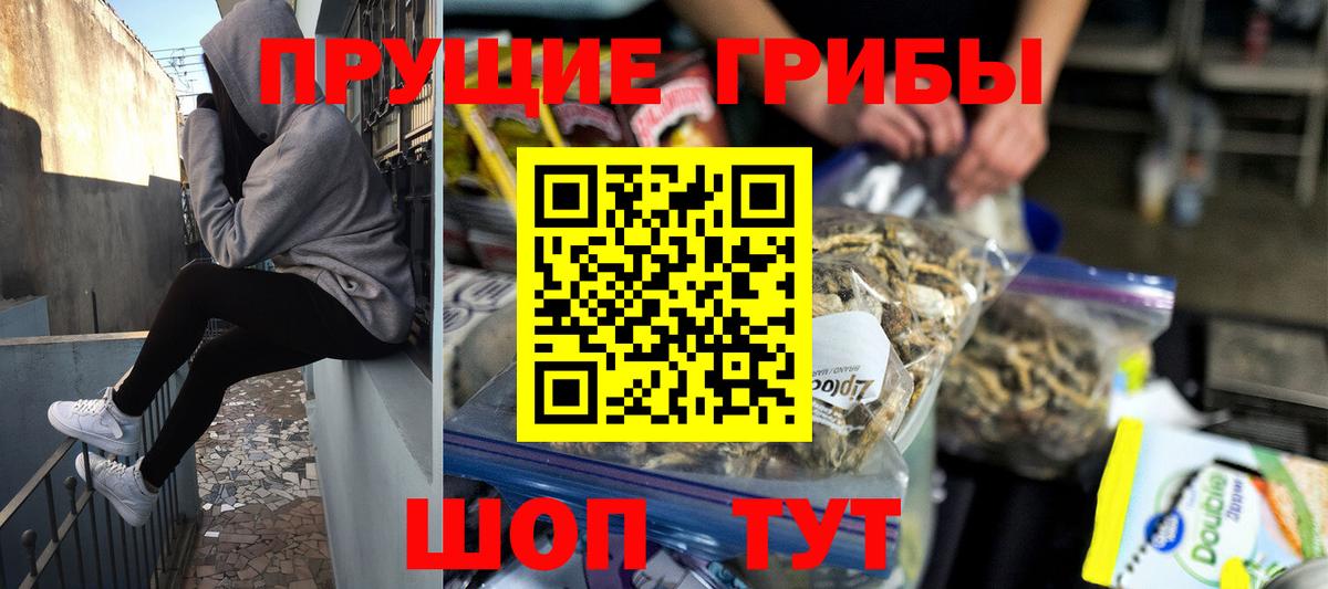 Новокуйбышевск  купить  цена  Вход с VPN  Псилоцибиновые грибы мухоморы  Псилоцибиновые грибы прущие грибы 